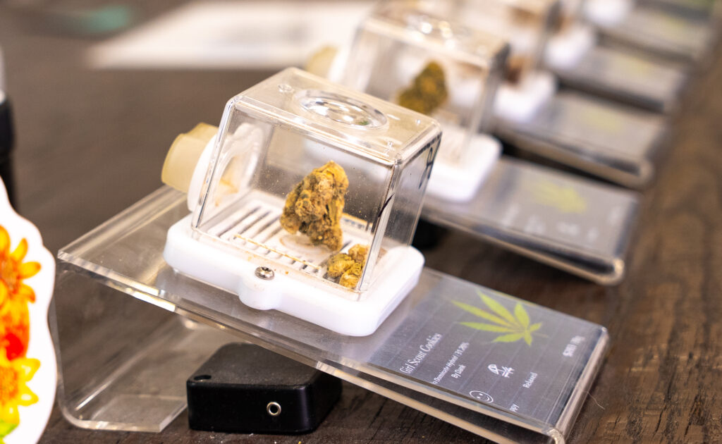 Premium flower selection at Hibernica Bronx dispensary in Pelham Bay