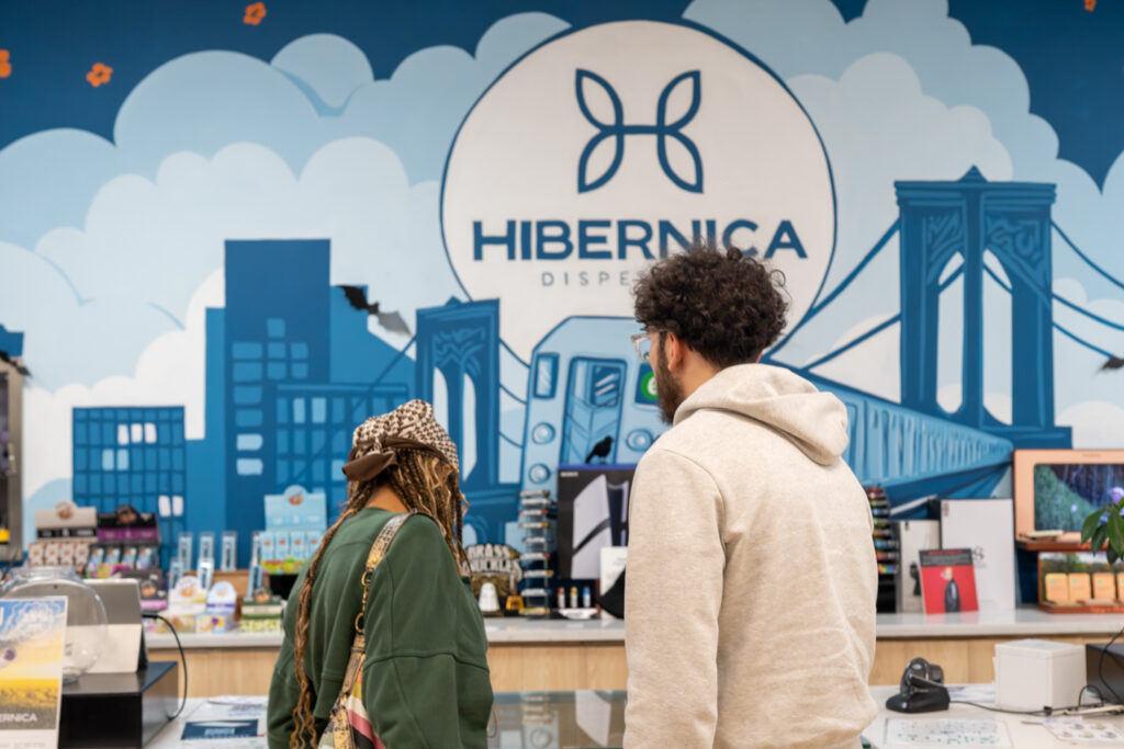 hibernica_team_helping_visitors_bronx_event
