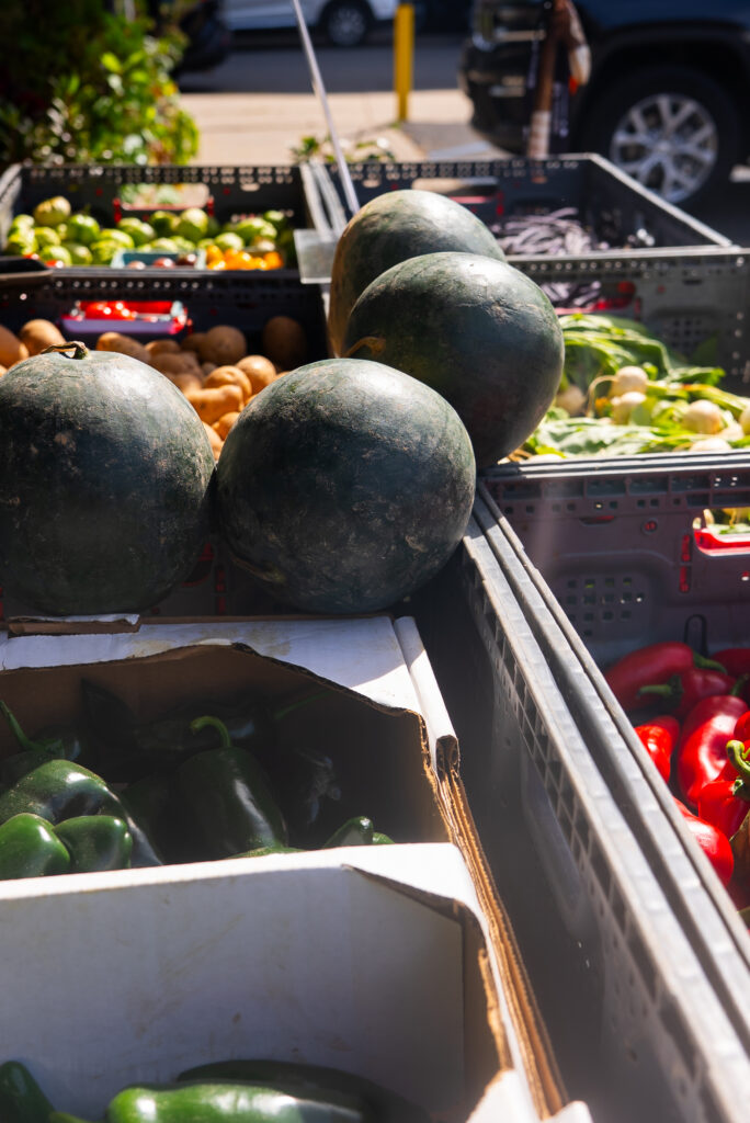 back home farm At Hibernica
