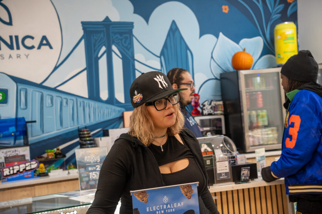 electraleaf_new_york_products_display